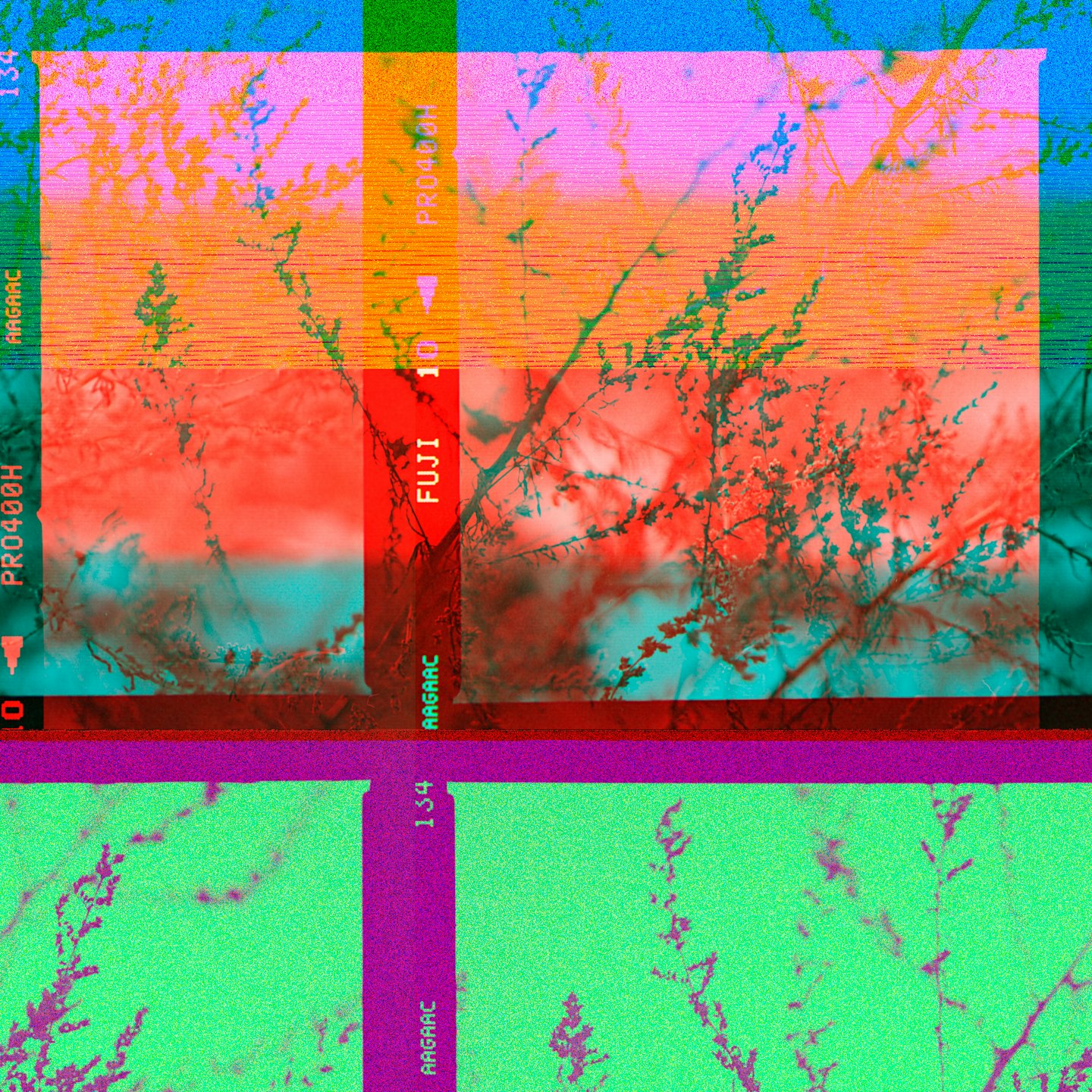 Cyfrowa grafika przedstawiająca zniekształcone liście z neonowymi wzorami glitch.